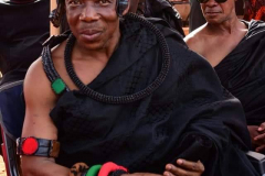 Nana Owusu Korkor II, current Tetremhene