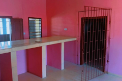 PHOTO-2024-11-18-06-12-16-1